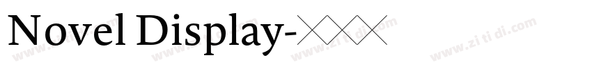 Novel Display字体转换